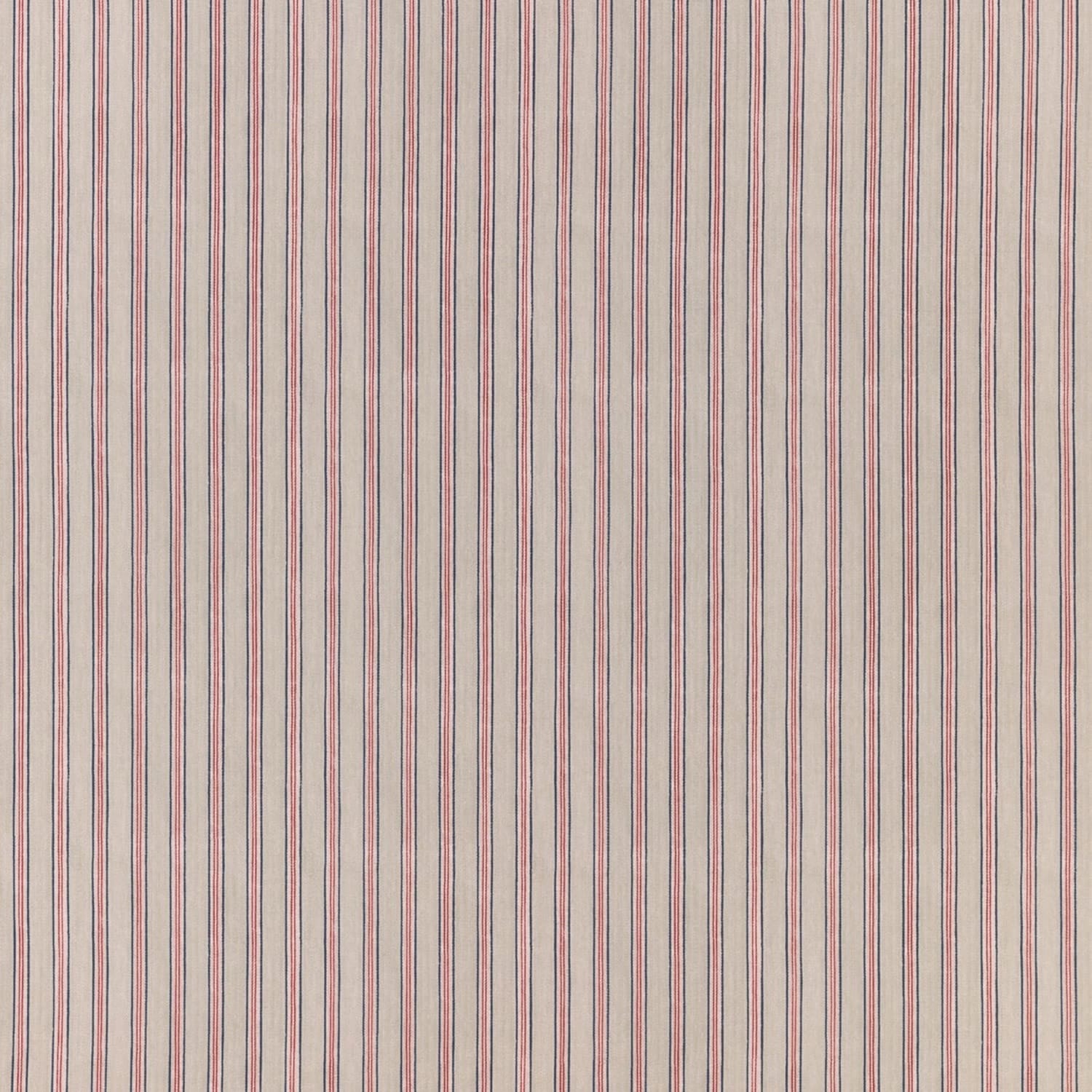 robert-kime-tynemouth-ticking-eucalyptus