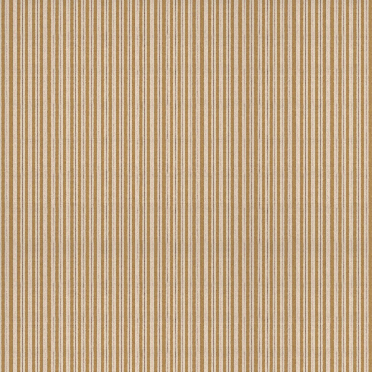 sketched-stripe-gold